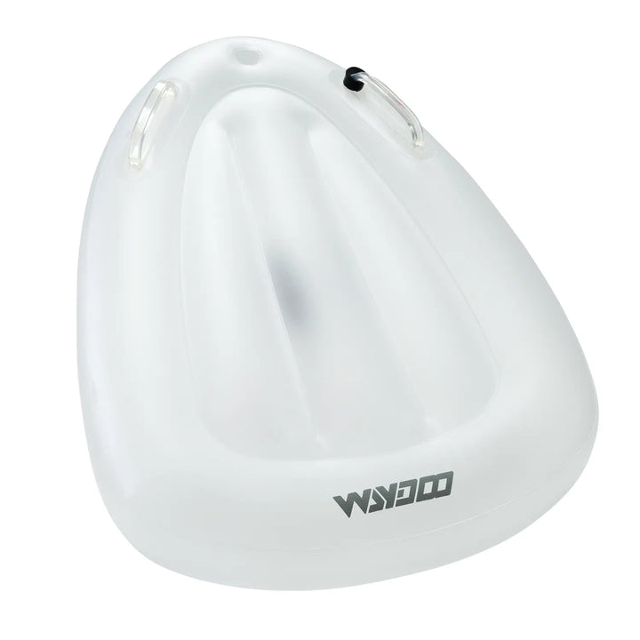 Inflatable Kickboard waydoous