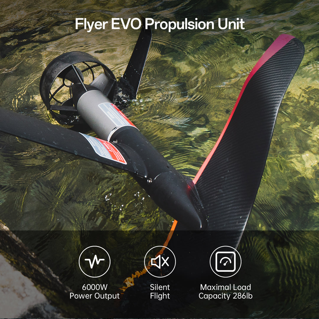 Flyer EVO - Max Plus