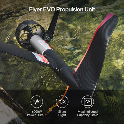 Flyer Evo - Max Plus
